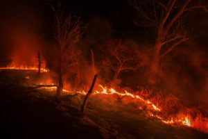 Prairie burn and smoke with trees