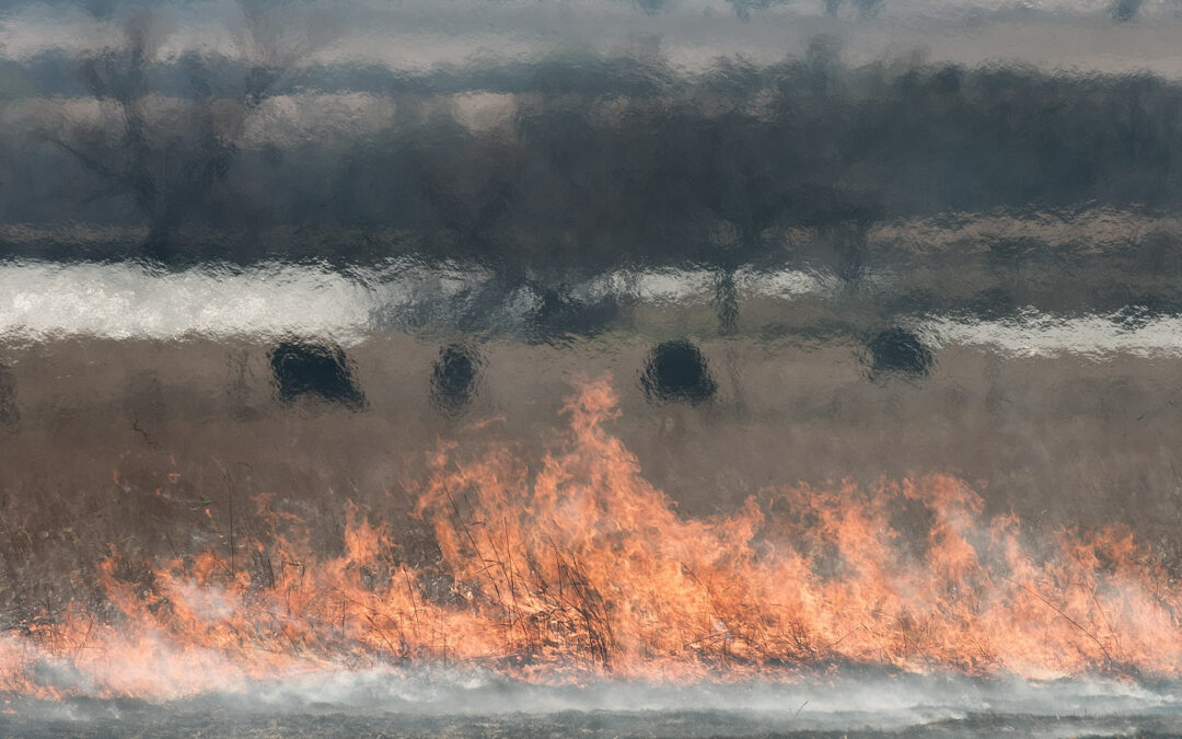 burn_and_cattle_8100899b_med