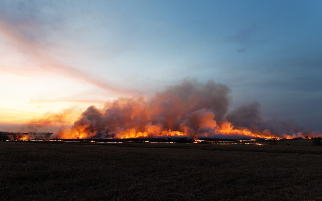 PrairieBurn #2093