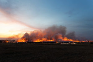 Flames and smoke above charred section prairie