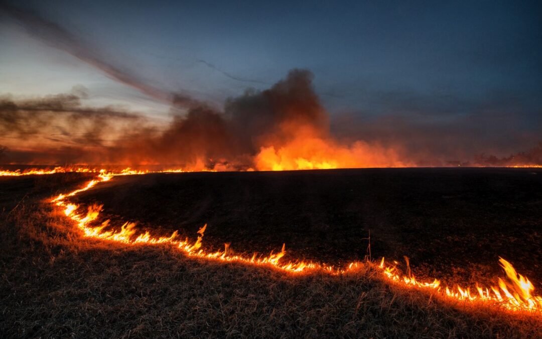 Prairie Burn
