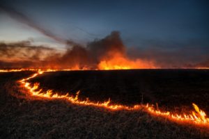 Prairie burn - arc of fire -a curved section of prairie burn