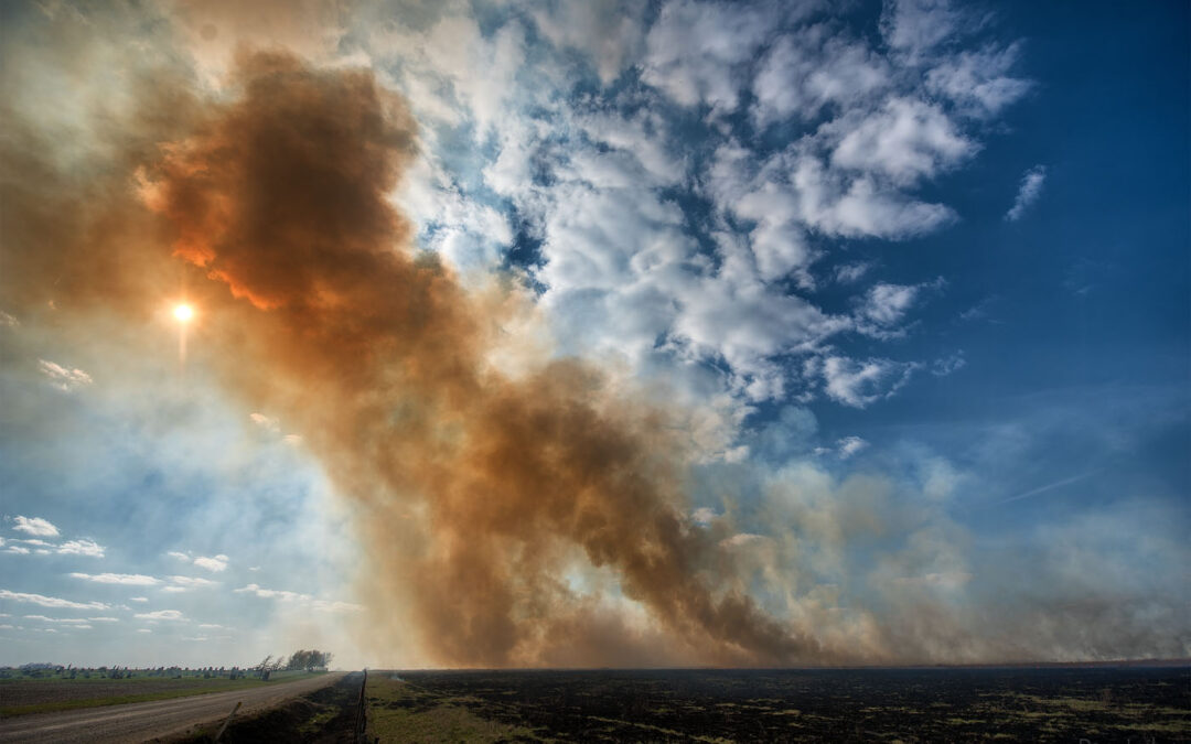 smoke_81013680-med