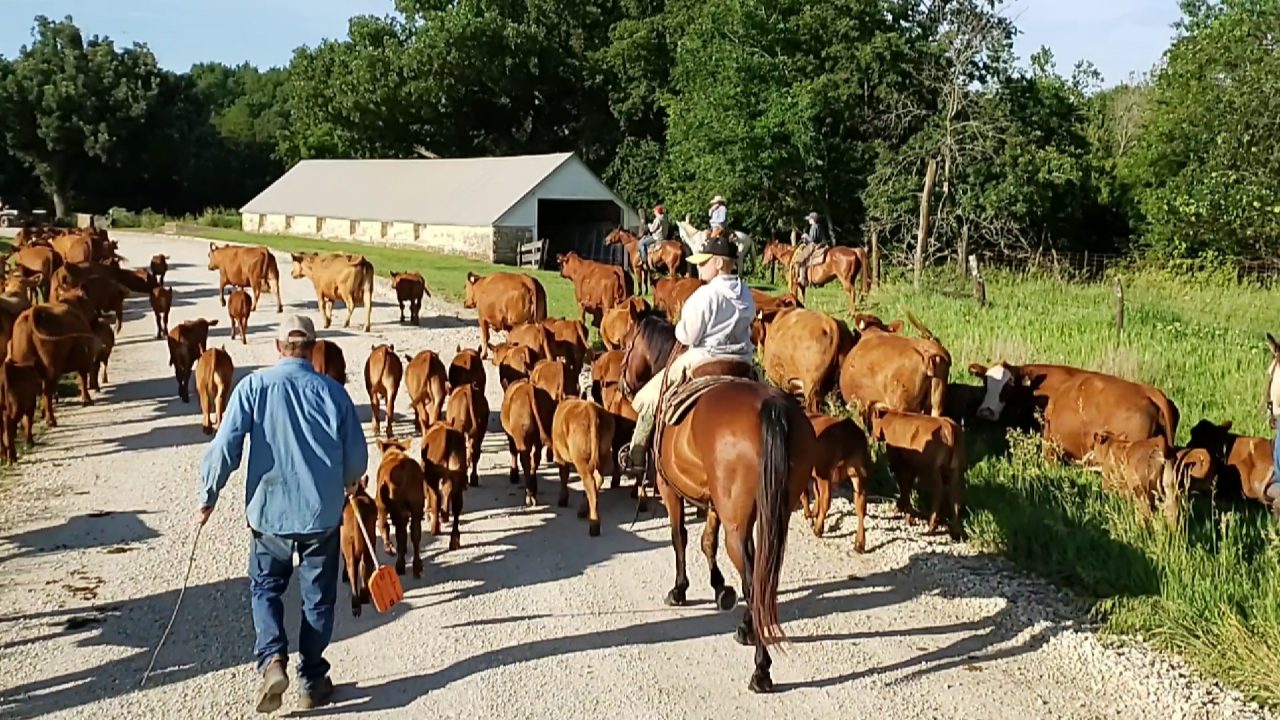 Trail Rides | Flint Hills Ranch Heritage