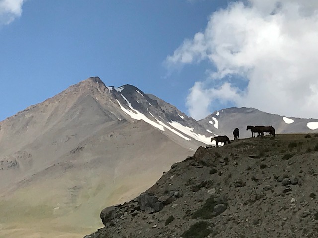 Horses on a mountain ridge