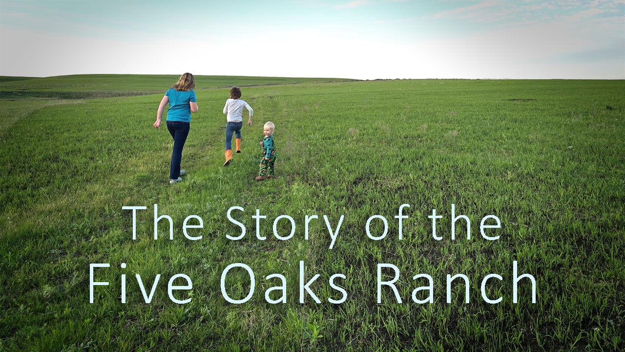 Five Oaks Ranch tb2 The Story of Five Oaks Ranch