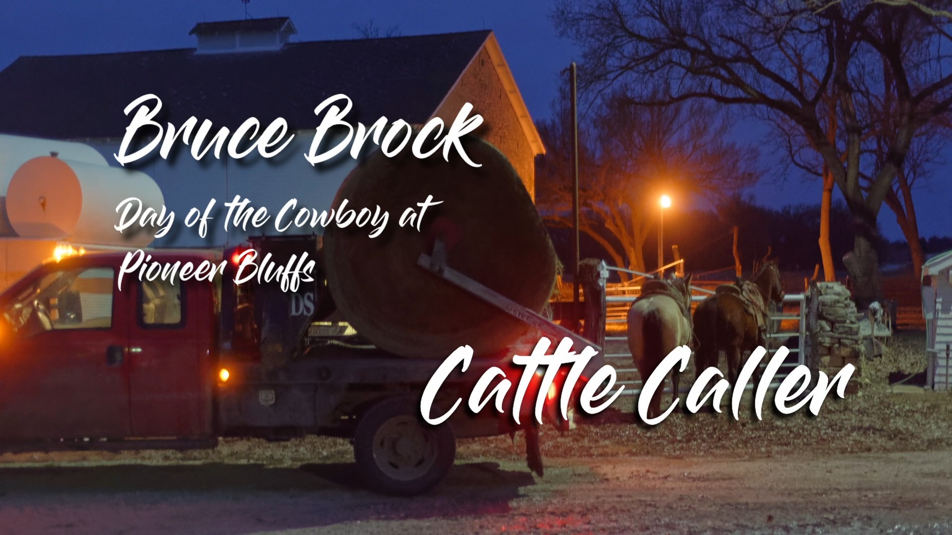 Cattle Caller, Bruce Brock