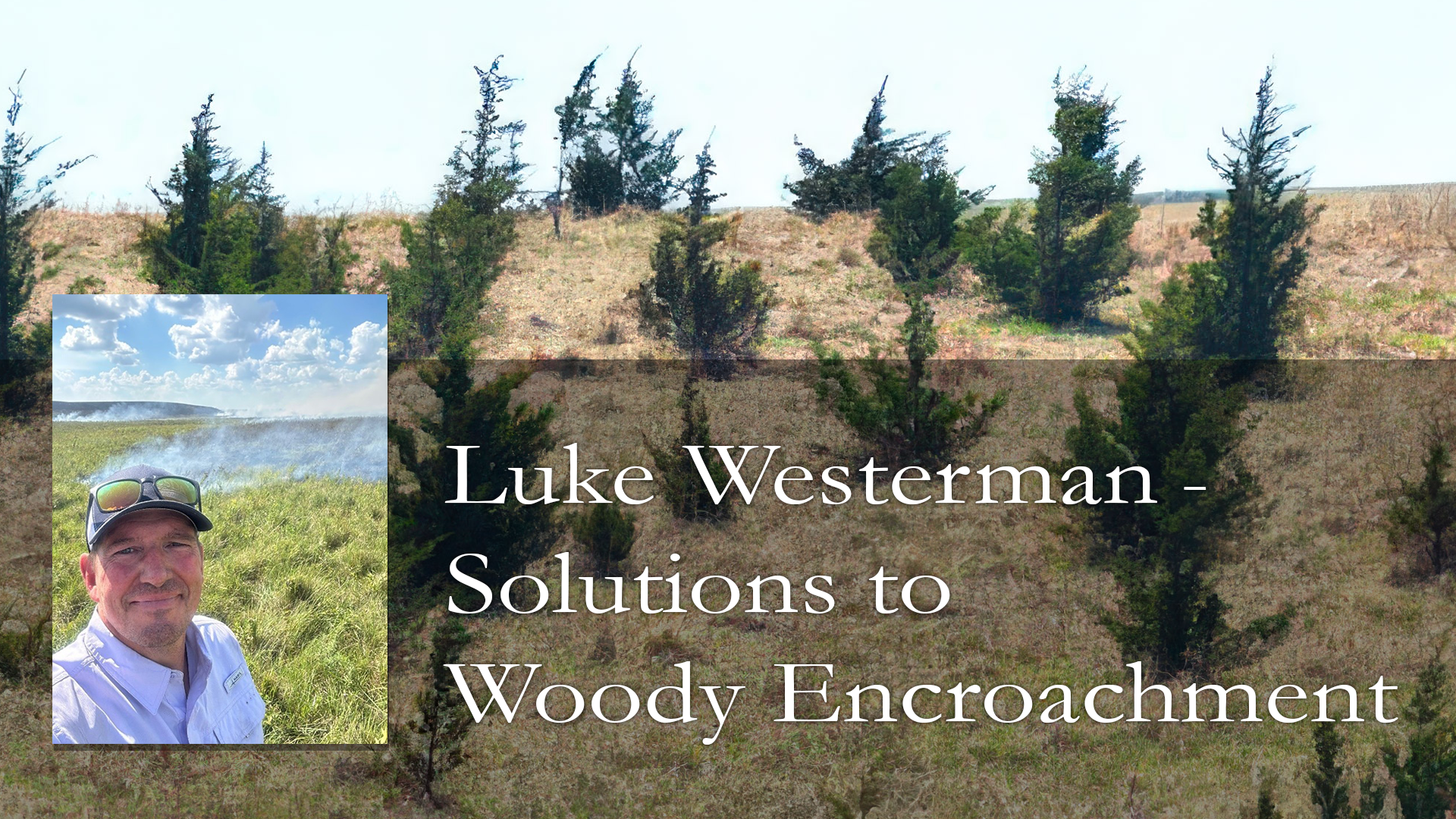 Solutions to Woody Encroachment Solutions to Woody Encroachment